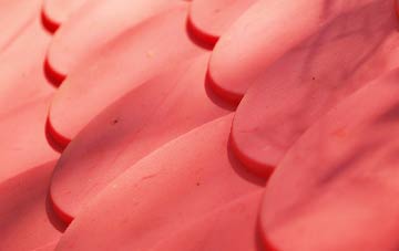 Ambler Thorn plastic roof costs